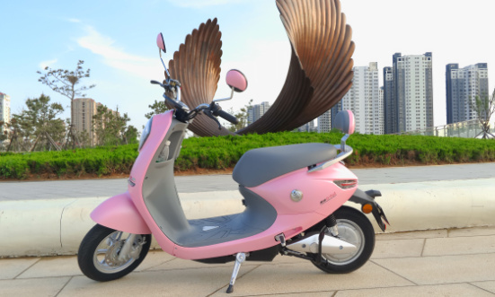 雅迪新能量+悠米智慧版评测(3)_体育产业