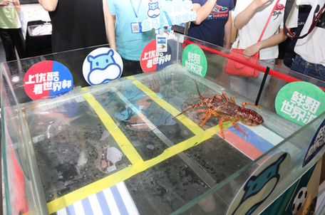 瞎操心预测世界杯失误辞世 二世接班优酷直