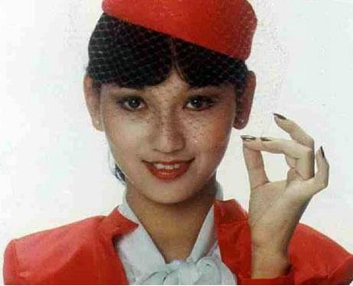 1971年，17岁的赵雅芝毕业于香港天主教崇德中学，毕业那年，正赶上日本航空公司在香港招聘空中小姐，梦想环游世界的赵雅芝便去面试。