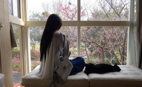 背影杀!郭碧婷长发及腰抱猫咪合照 画面唯美 _qq人工