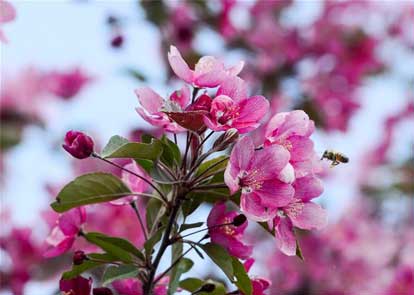 首创与长马“文化+体育” 共建共享绿色健康新生活