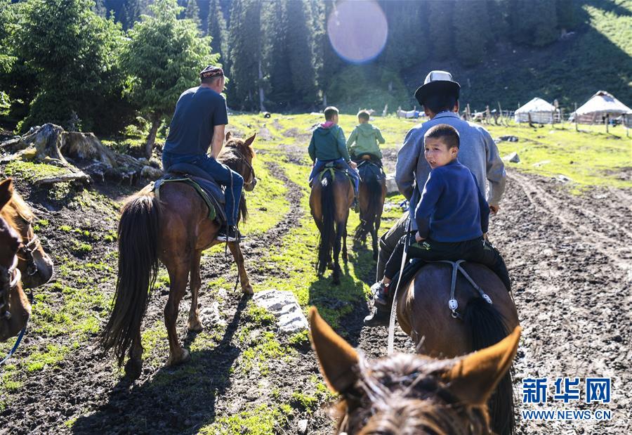 刘若钒、雷腾龙加盟天津泰达（最新发布）