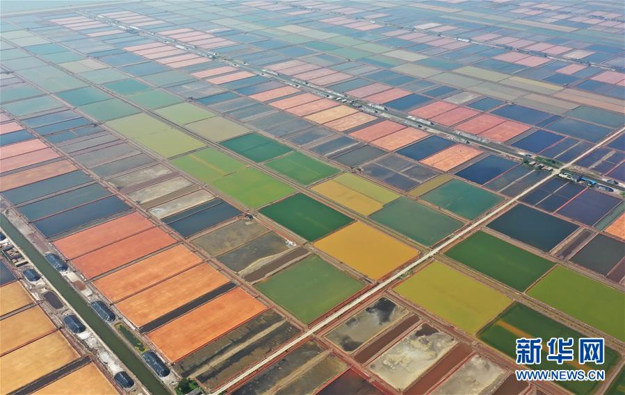 刘若钒、雷腾龙加盟天津泰达（最新发布）