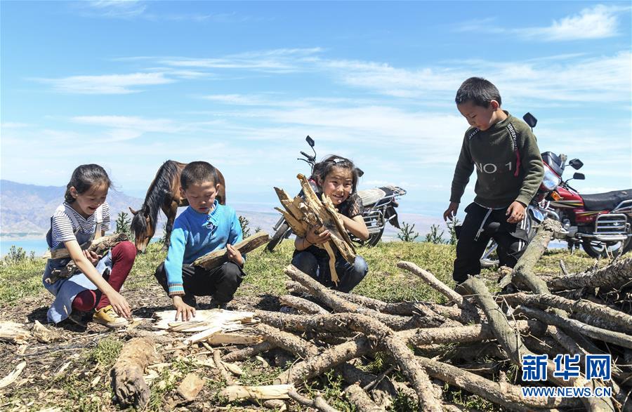 刘若钒、雷腾龙加盟天津泰达（最新发布）