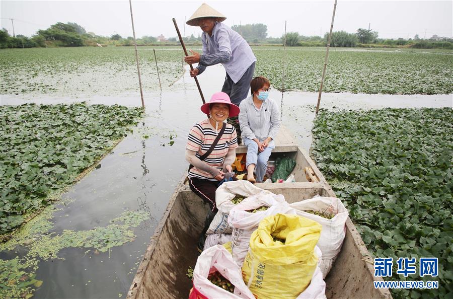 刘若钒、雷腾龙加盟天津泰达（最新发布）
