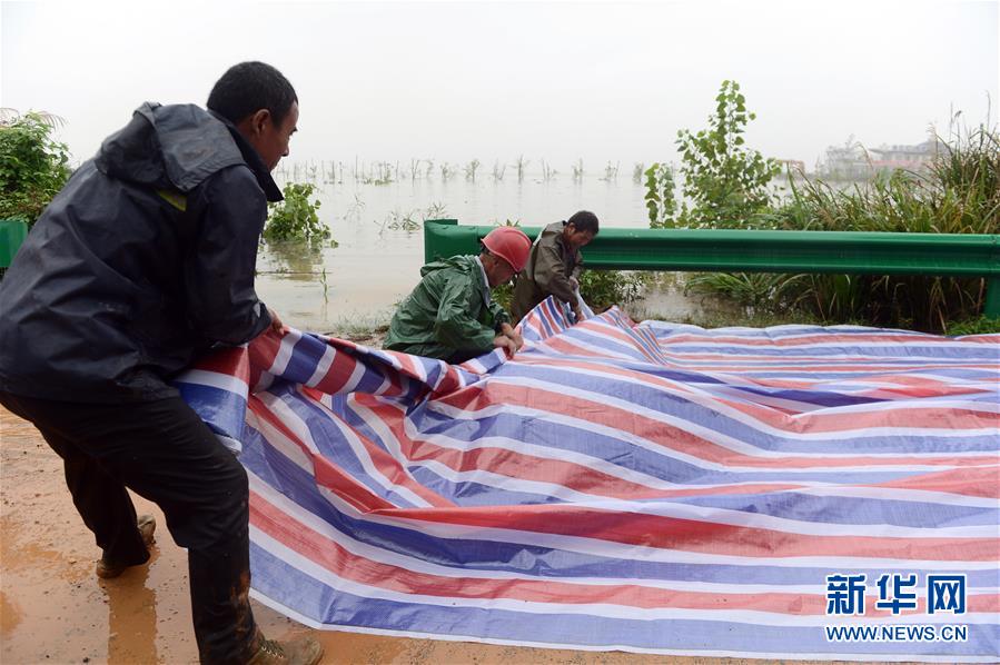 刘若钒、雷腾龙加盟天津泰达（最新发布）