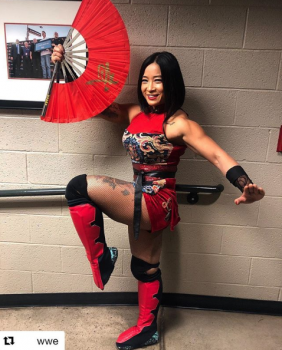 WWE猪年新鲜事来袭