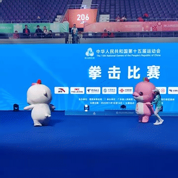 全运会新“顶流”——“喜洋洋”“乐融融”