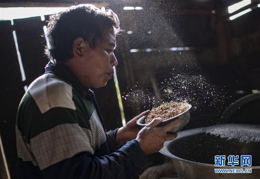 世界羽联排名：陈雨菲首登世界第一