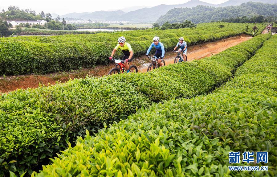 珍珠山山地自行车越野挑战赛在江西婺源举行