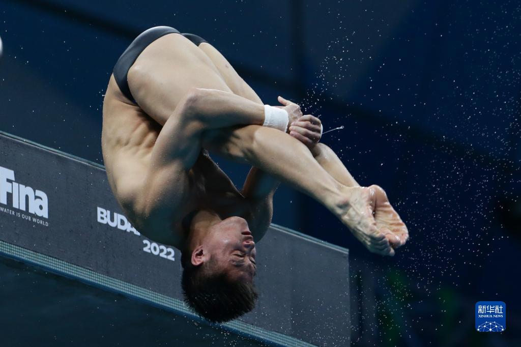游泳世锦赛——杨健获得男子10米台冠军
