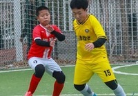 天津：足球“希望之星”点亮未来