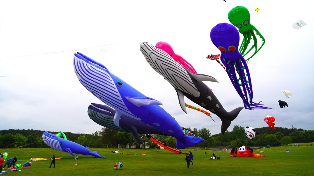 全国运动风筝锦标赛在武汉开赛