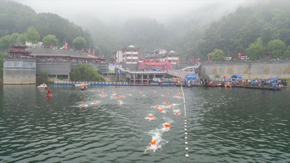 第六届花亭湖国际公开水域游泳赛举行