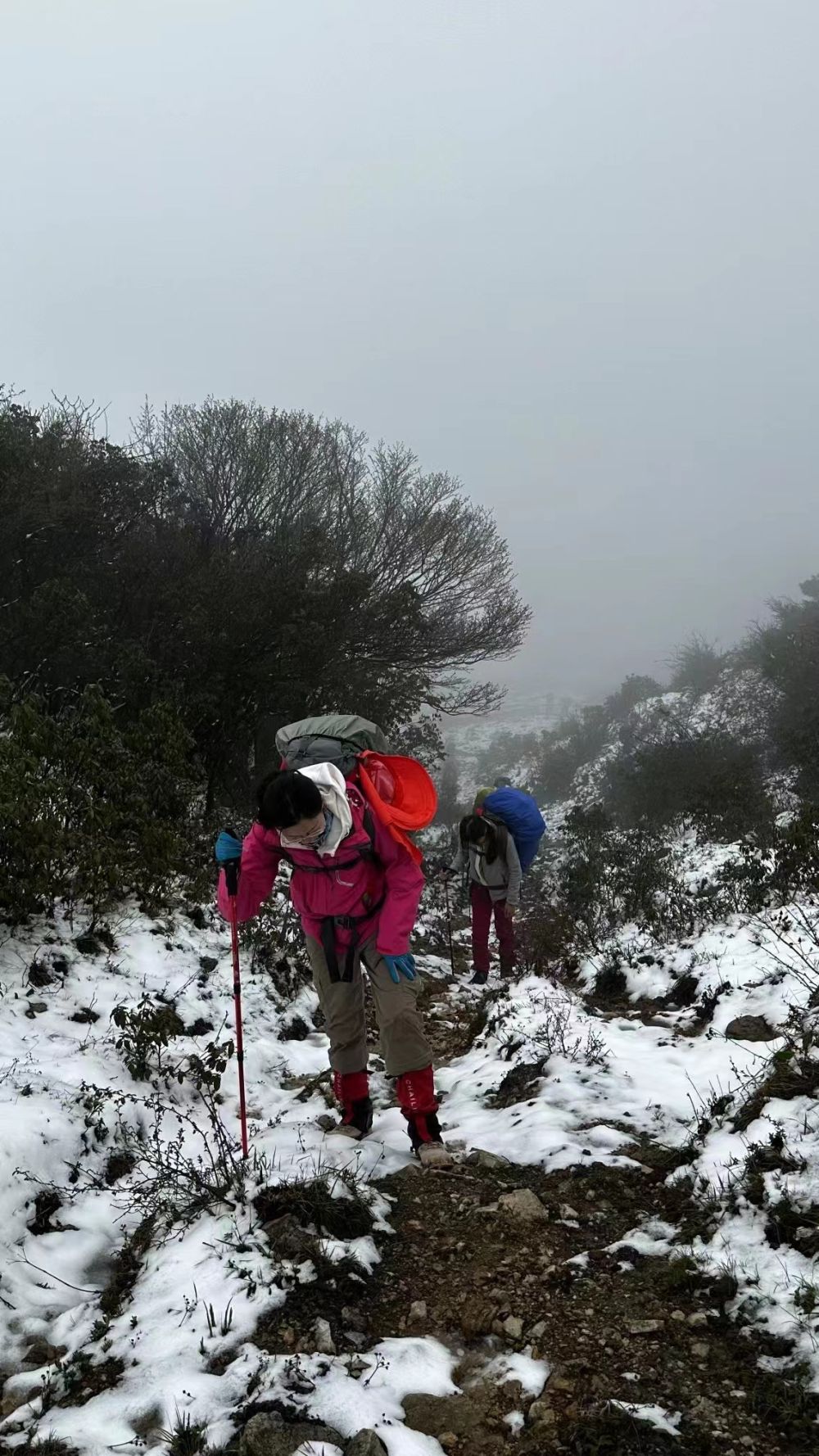 爆款网红体育课：带你爬树跋山涉水