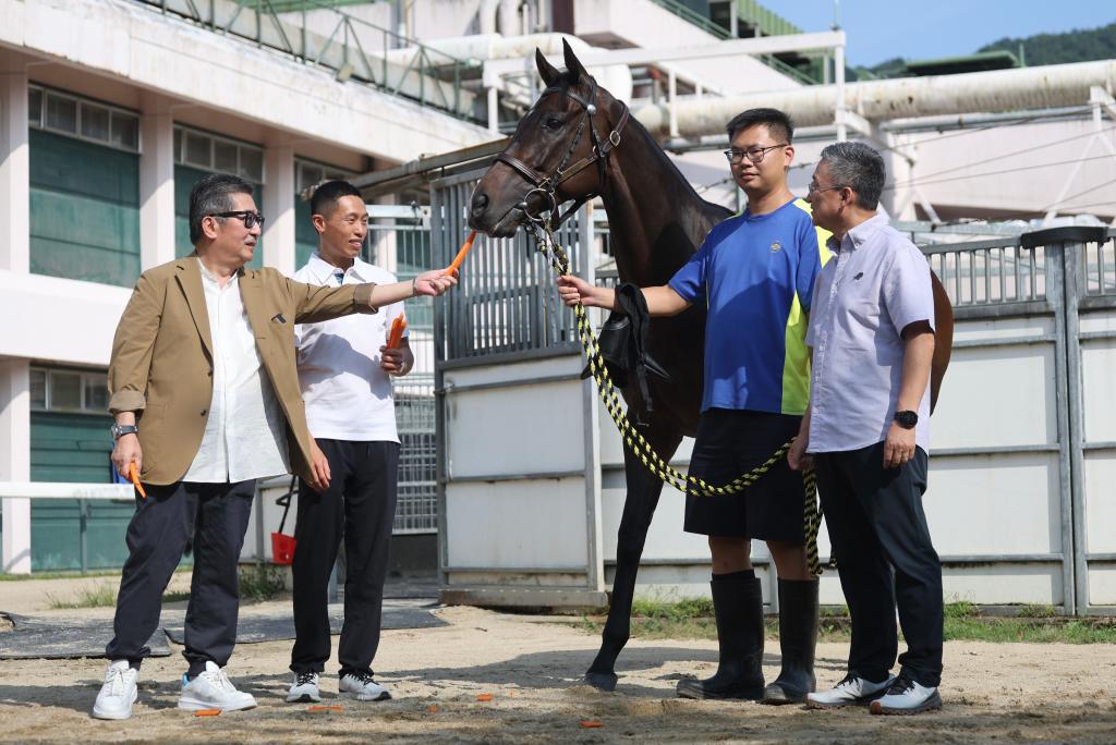 “香港马王”退役了