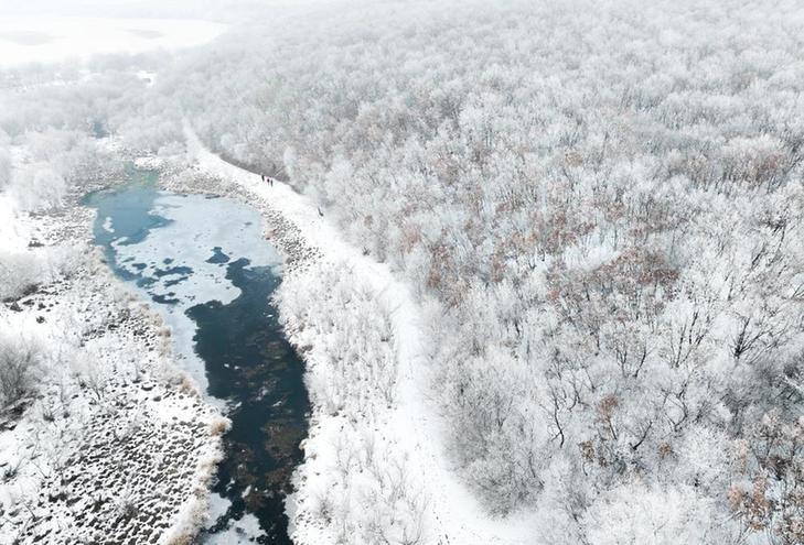 内蒙古呼伦贝尔：让冰雪运动更“接地气”