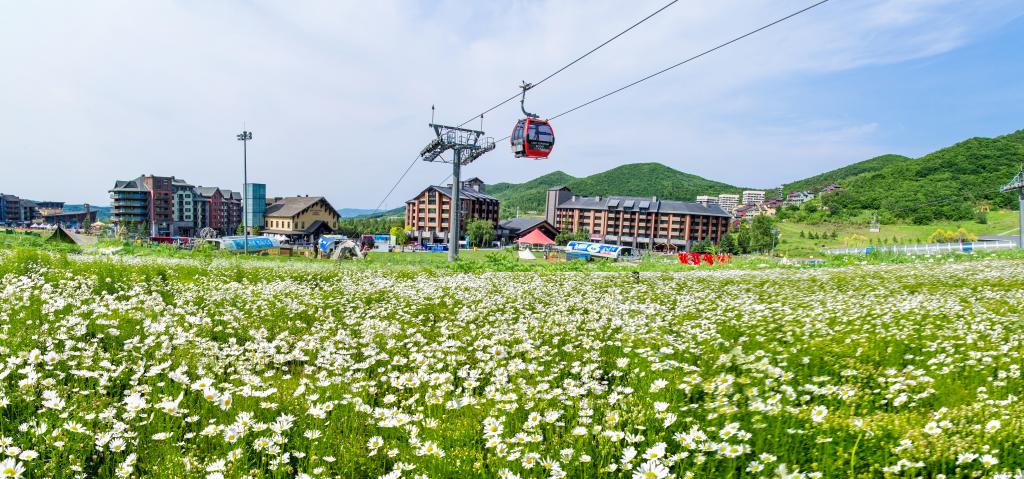 追光｜炎炎夏日，这里的滑雪场“上新”啦！