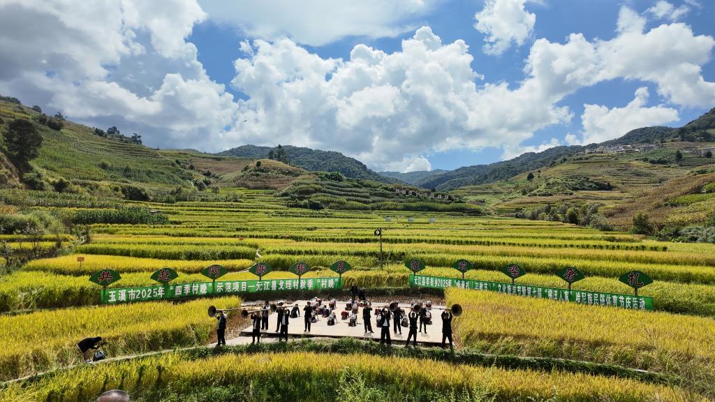追光丨运动过节，中国农民“丰”景独好