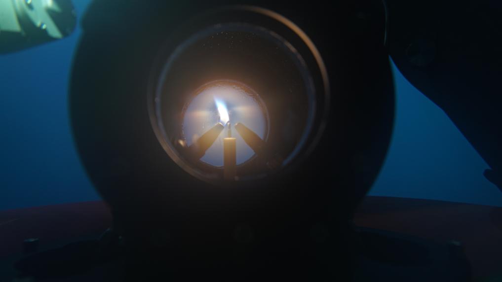 同心之火耀湾区——十五运会火炬传递活动侧记