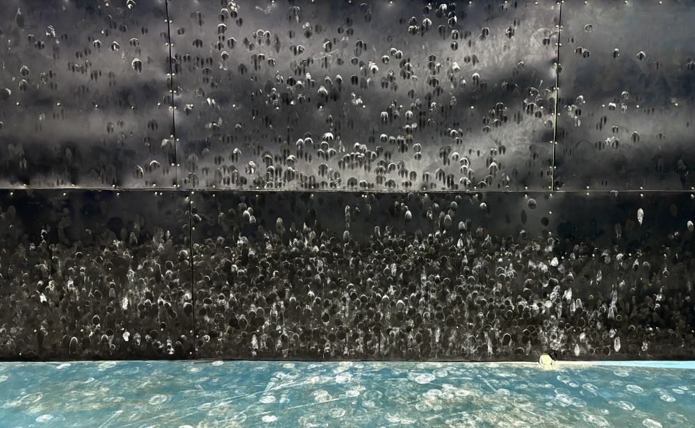 人物｜巩立姣：时代投掷者