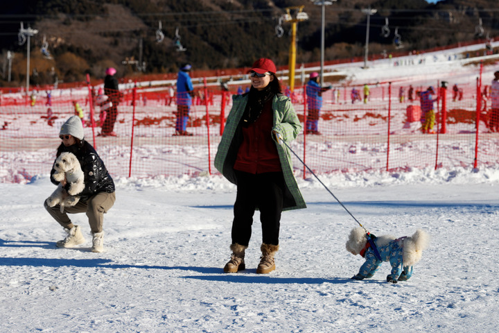 追光丨转眼又是冬奥年，“双奥之城”再升温