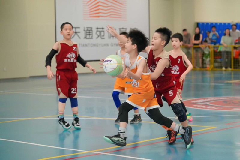 2026北京市青少年篮球俱乐部联赛昌平赛区全面开赛 2026北京市青少年篮球俱乐部联赛昌平赛区全面开赛