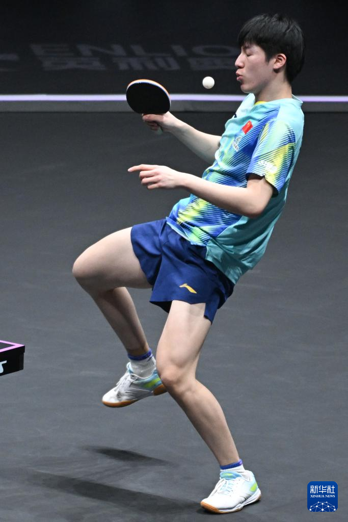 WTT重庆冠军赛:温瑞博获得男单亚军