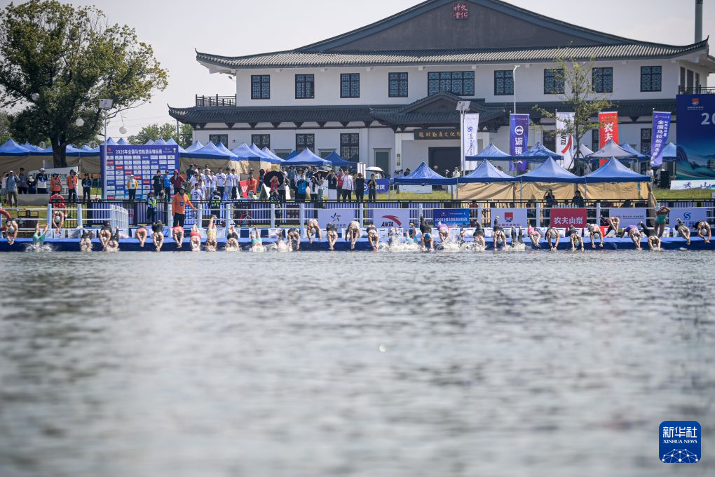 马拉松游泳——2026年全国锦标赛赛况